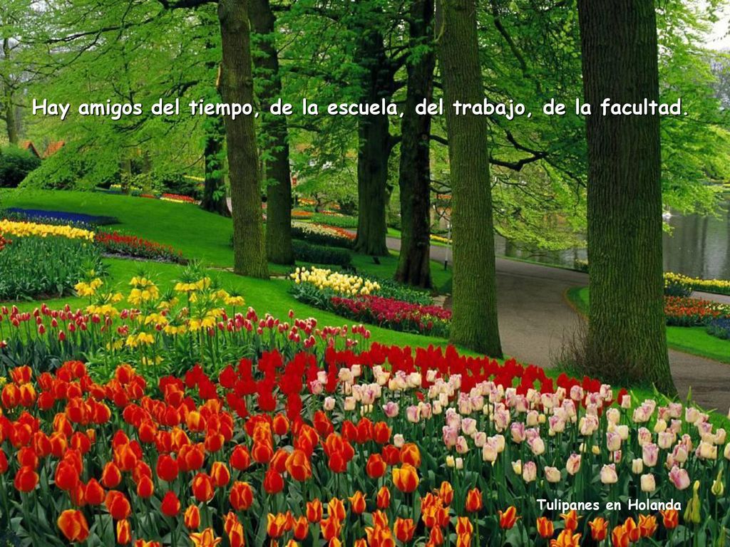 Hay amigos del tiempo, de la escuela, del trabajo, de la facultad.