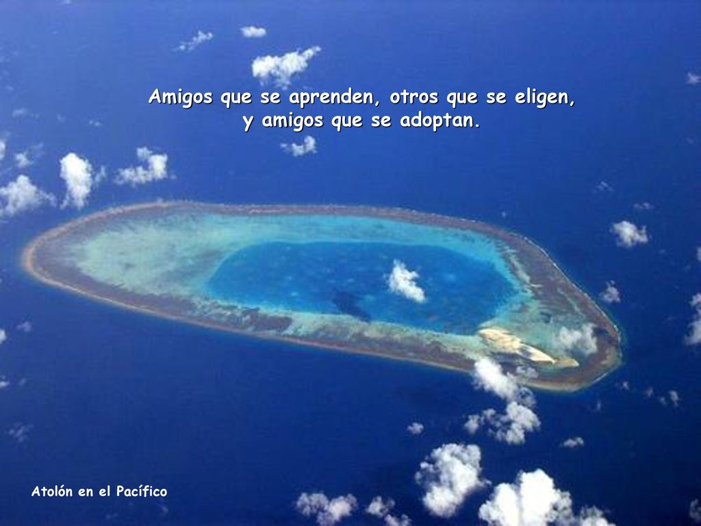 Amigos que se aprenden, otros que se eligen, y amigos que se adoptan.