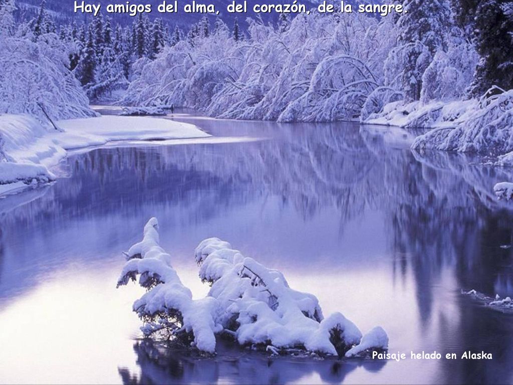 Hay amigos del alma, del corazón, de la sangre.
