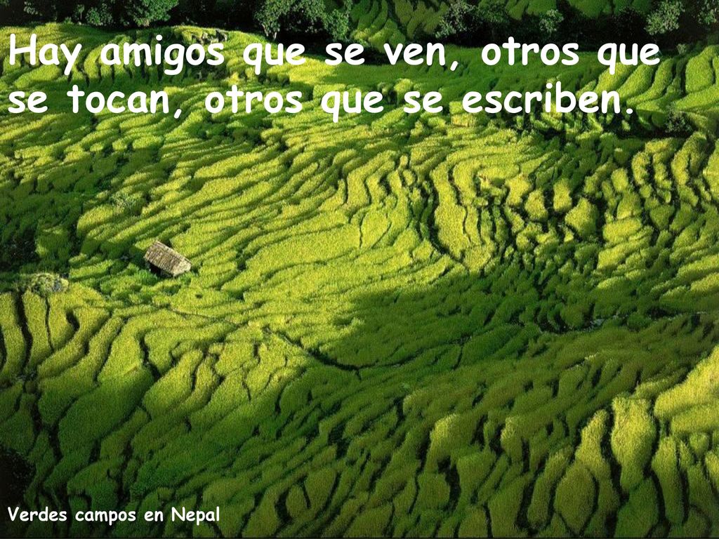 Hay amigos que se ven, otros que se tocan, otros que se escriben.