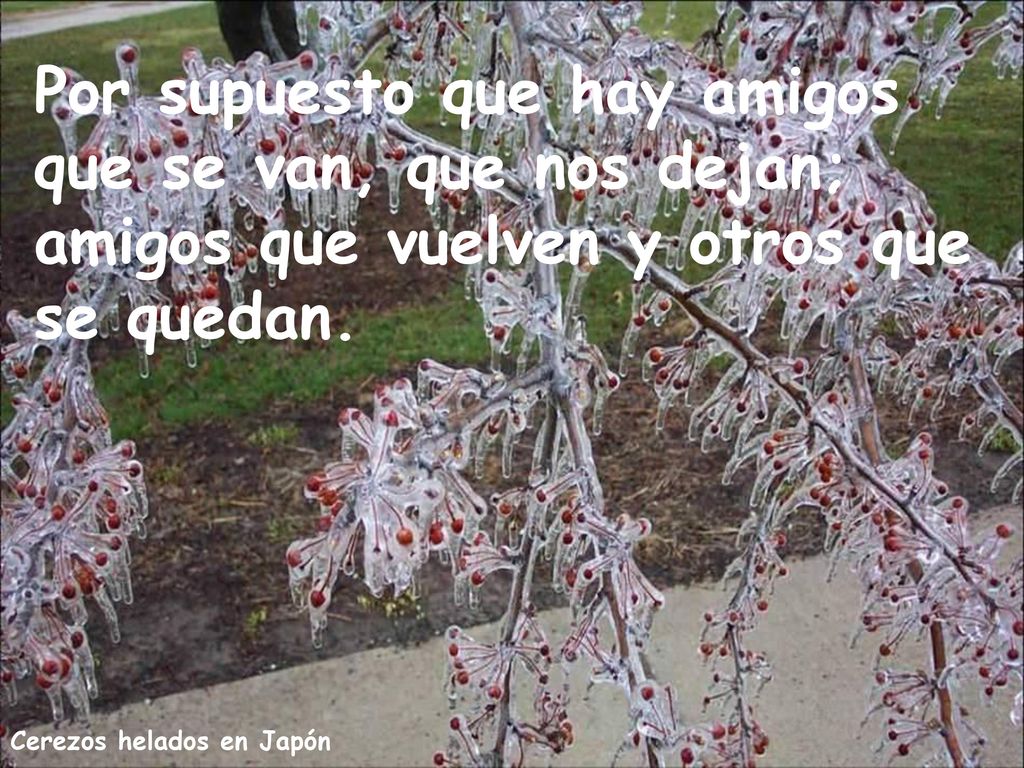 Por supuesto que hay amigos que se van, que nos dejan; amigos que vuelven y otros que se quedan.