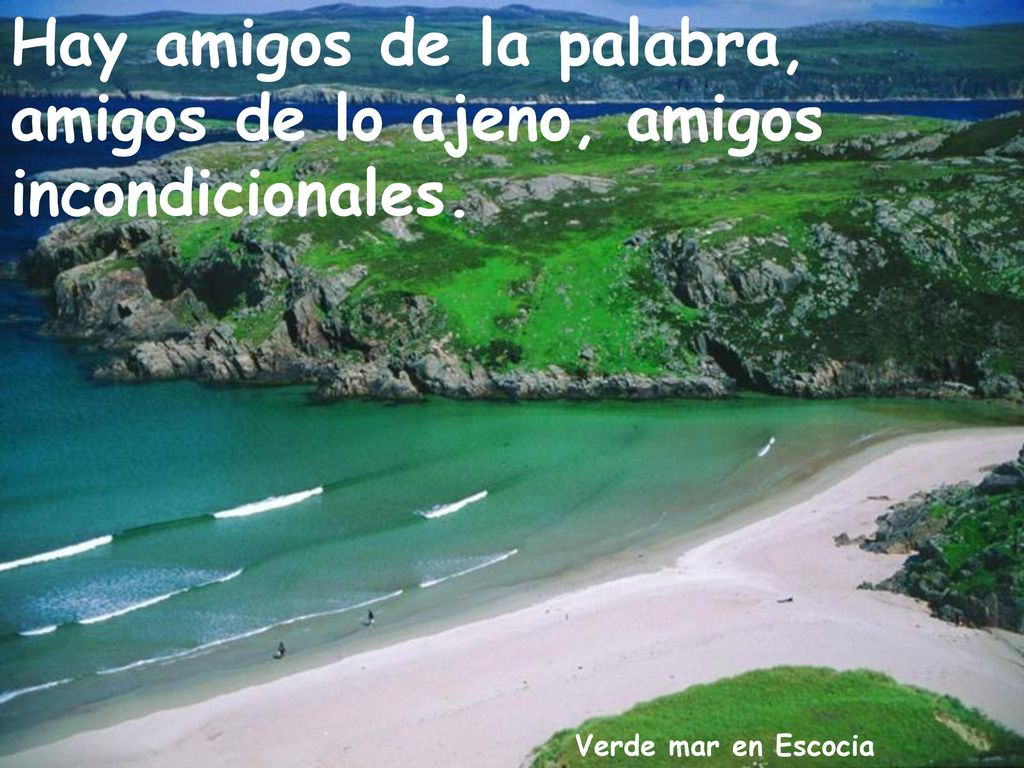 Hay amigos de la palabra, amigos de lo ajeno, amigos incondicionales.