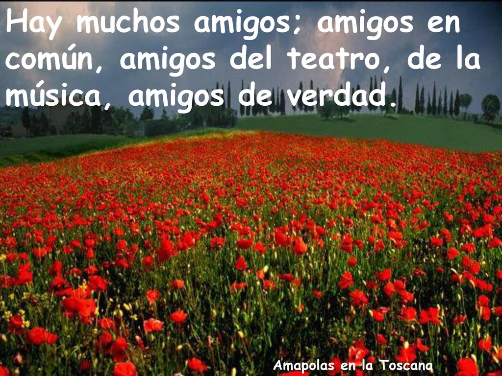Hay muchos amigos; amigos en común, amigos del teatro, de la música, amigos de verdad.