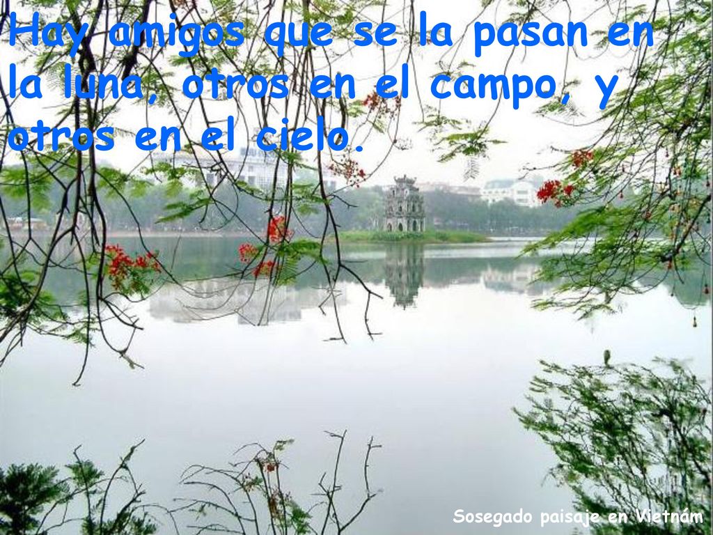 Hay amigos que se la pasan en la luna, otros en el campo, y otros en el cielo.