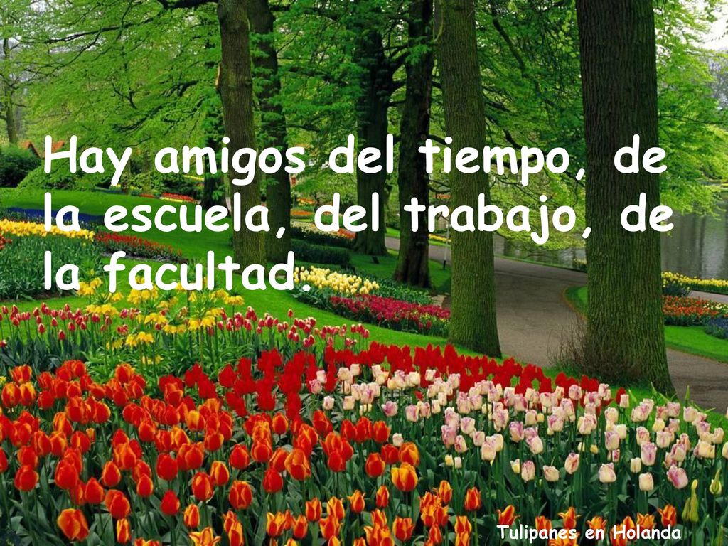 Hay amigos del tiempo, de la escuela, del trabajo, de la facultad.