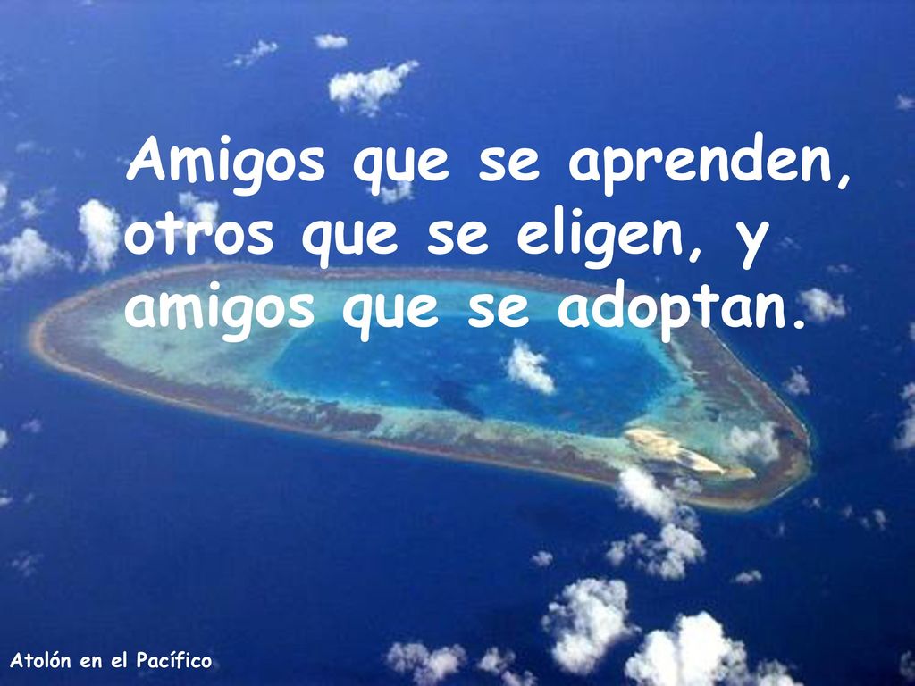 Amigos que se aprenden, otros que se eligen, y amigos que se adoptan.