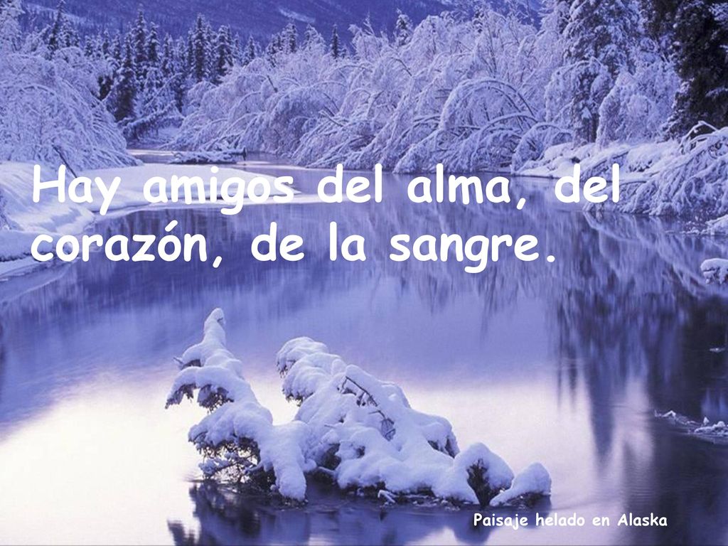 Hay amigos del alma, del corazón, de la sangre.