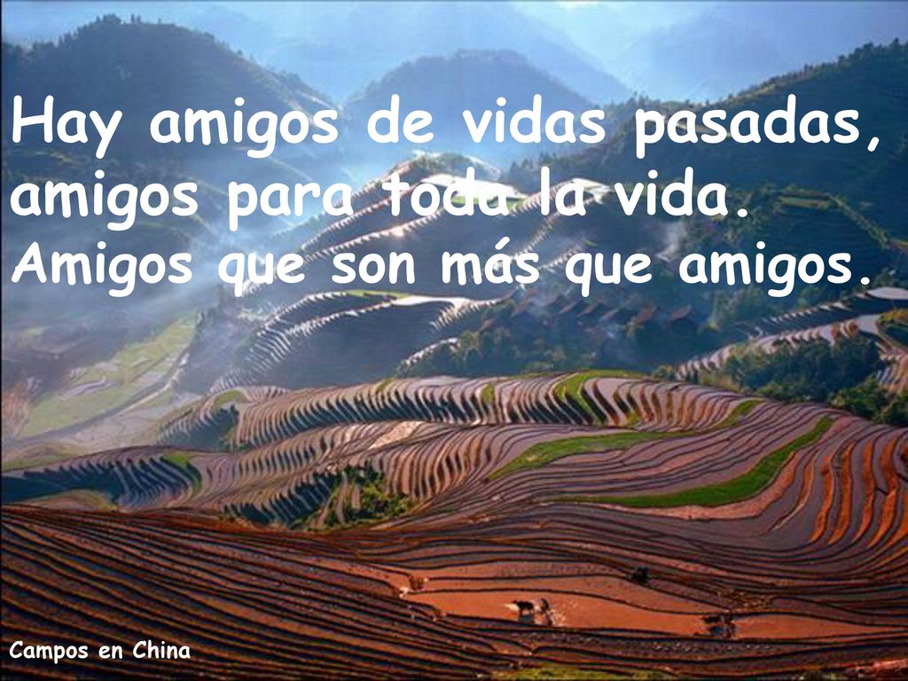 Hay amigos de vidas pasadas, amigos para toda la vida