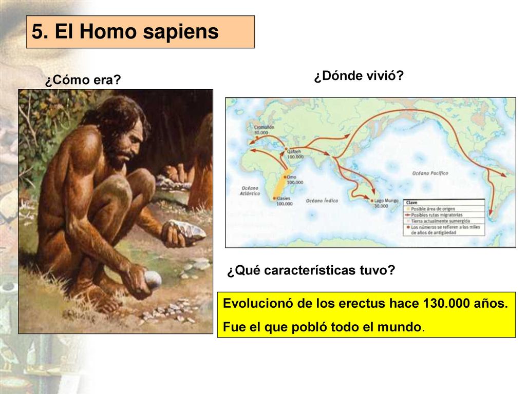 5. El Homo sapiens ¿Dónde vivió ¿Cómo era ¿Qué características tuvo