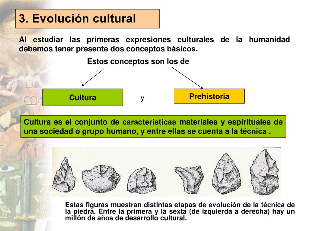 3. Evolución cultural Al estudiar las primeras expresiones culturales de la humanidad debemos tener presente dos conceptos básicos.