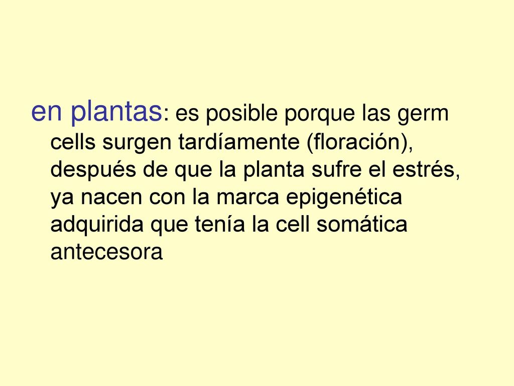 en plantas: es posible porque las germ cells surgen tardíamente (floración), después de que la planta sufre el estrés, ya nacen con la marca epigenética adquirida que tenía la cell somática antecesora