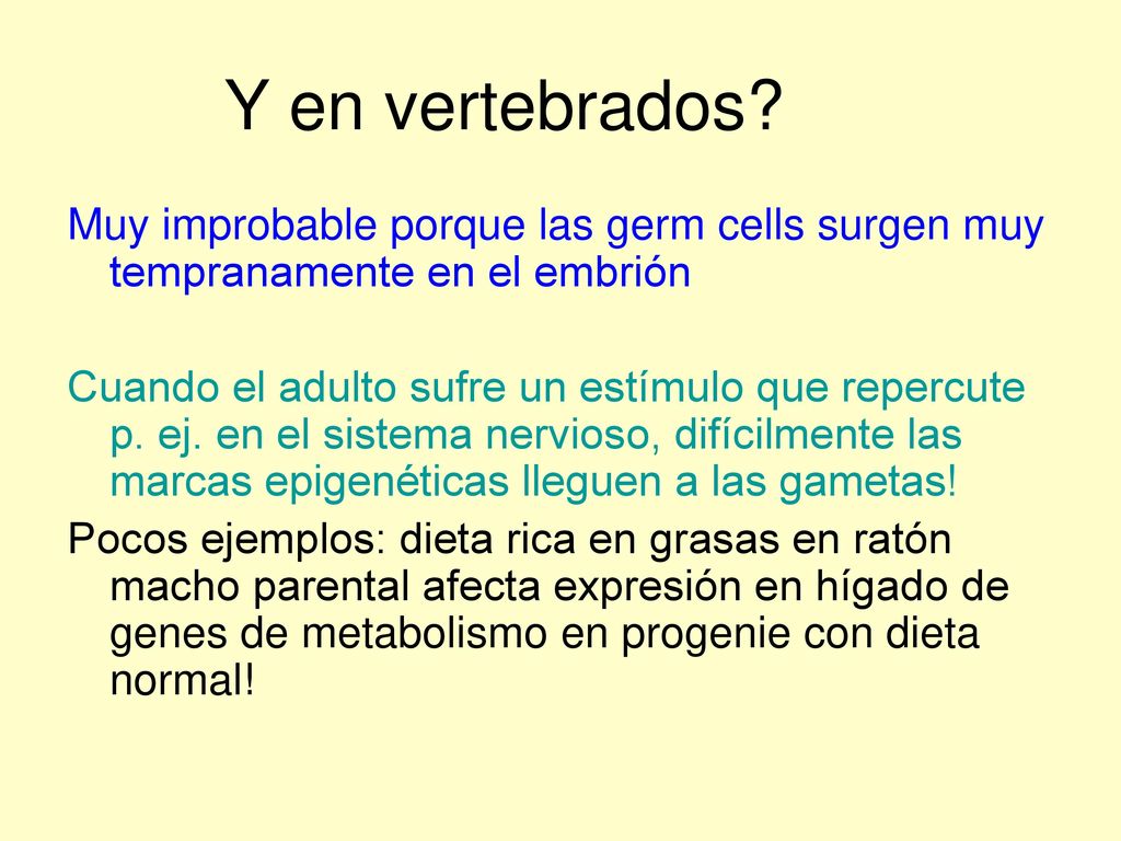 Y en vertebrados Muy improbable porque las germ cells surgen muy tempranamente en el embrión.