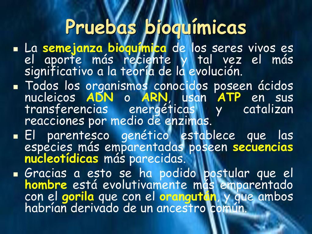 Pruebas bioquímicas La semejanza bioquímica de los seres vivos es el aporte más reciente y tal vez el más significativo a la teoría de la evolución.
