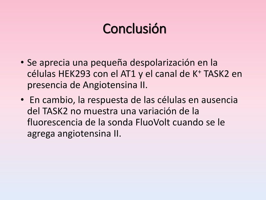 Conclusión Se aprecia una pequeña despolarización en la células HEK293 con el AT1 y el canal de K+ TASK2 en presencia de Angiotensina II.