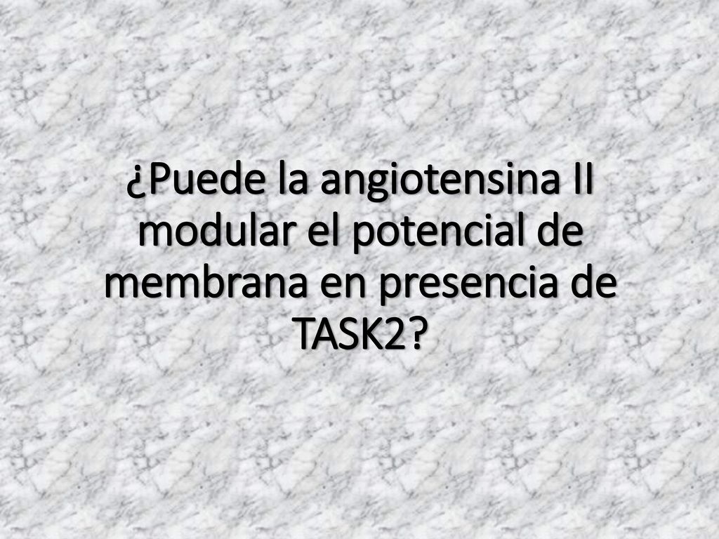 ¿Puede la angiotensina II modular el potencial de membrana en presencia de TASK2