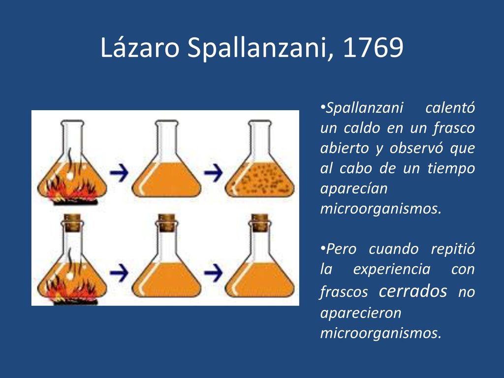 Lázaro Spallanzani, 1769 Spallanzani calentó un caldo en un frasco abierto y observó que al cabo de un tiempo aparecían microorganismos.