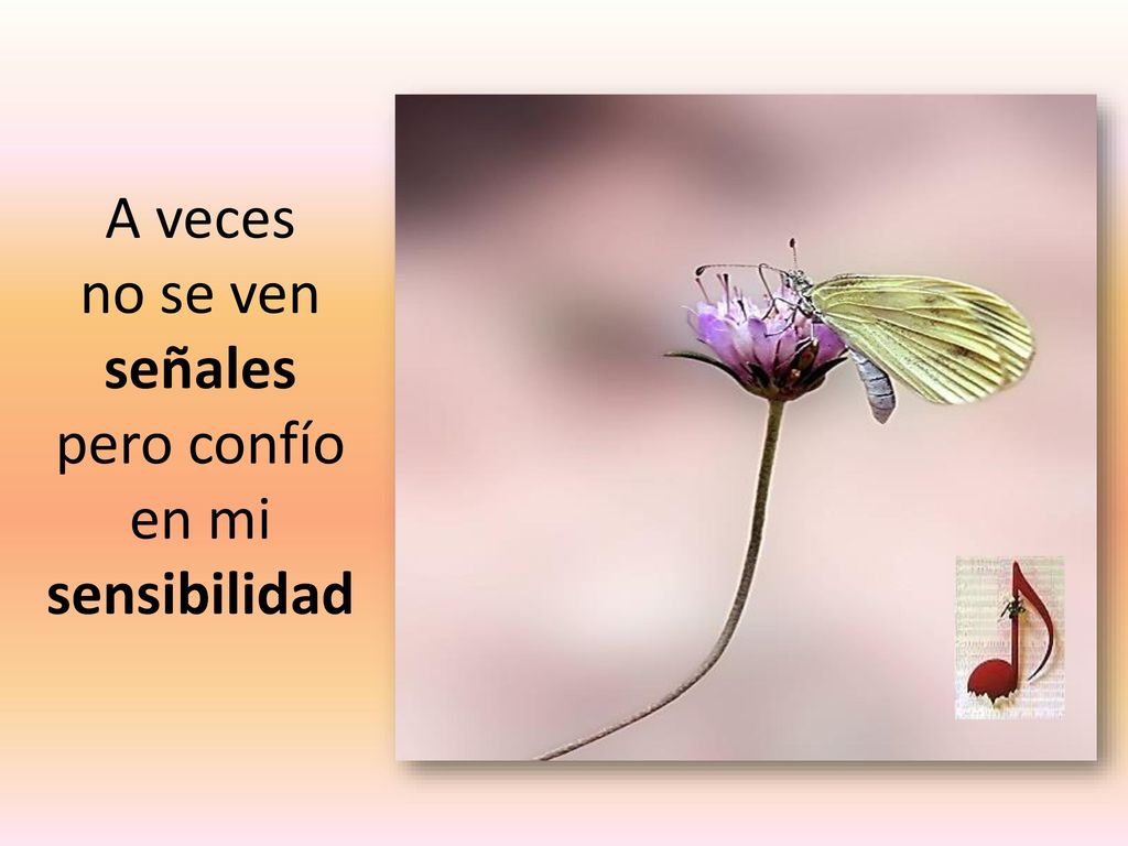 A veces no se ven señales pero confío en mi sensibilidad