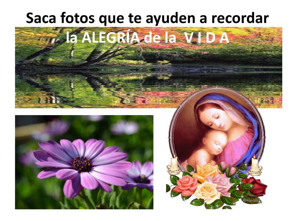 Saca fotos que te ayuden a recordar la ALEGRÍA de la V I D A