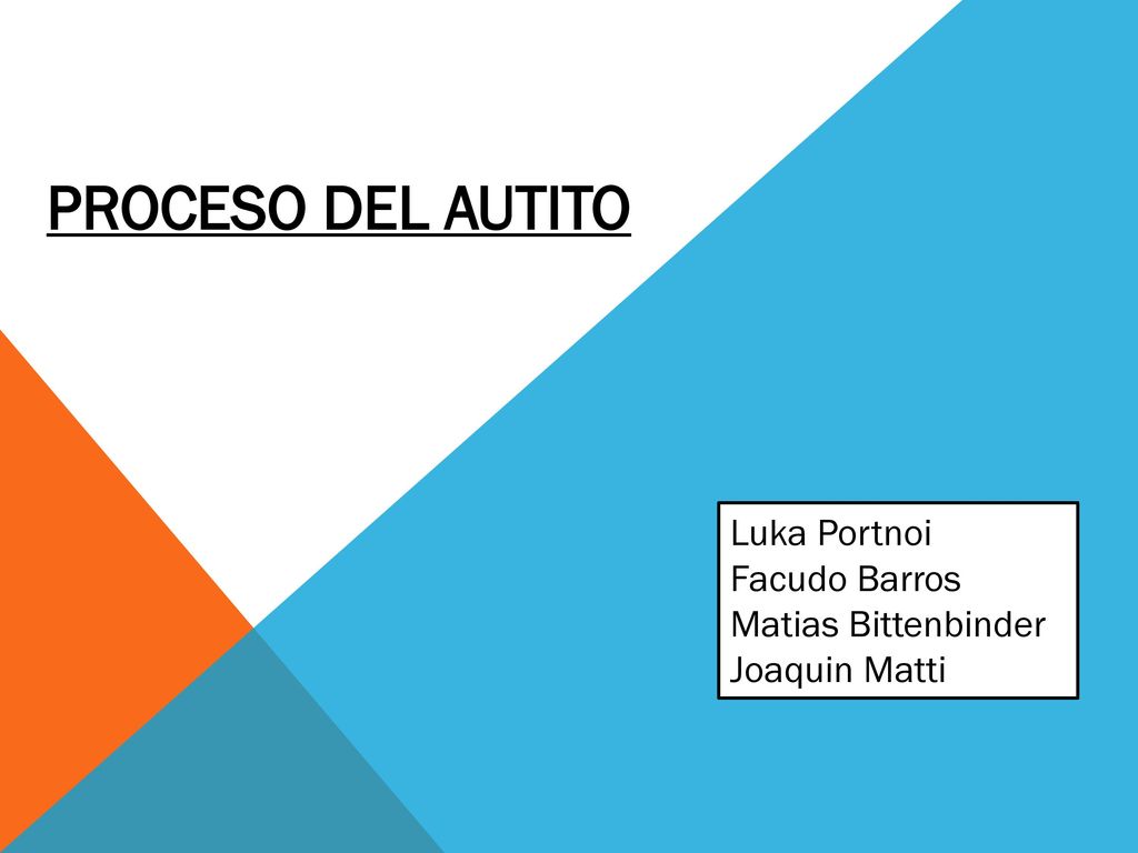 PROCESO DEL AUTITO Luka Portnoi Facudo Barros Matias Bittenbinder