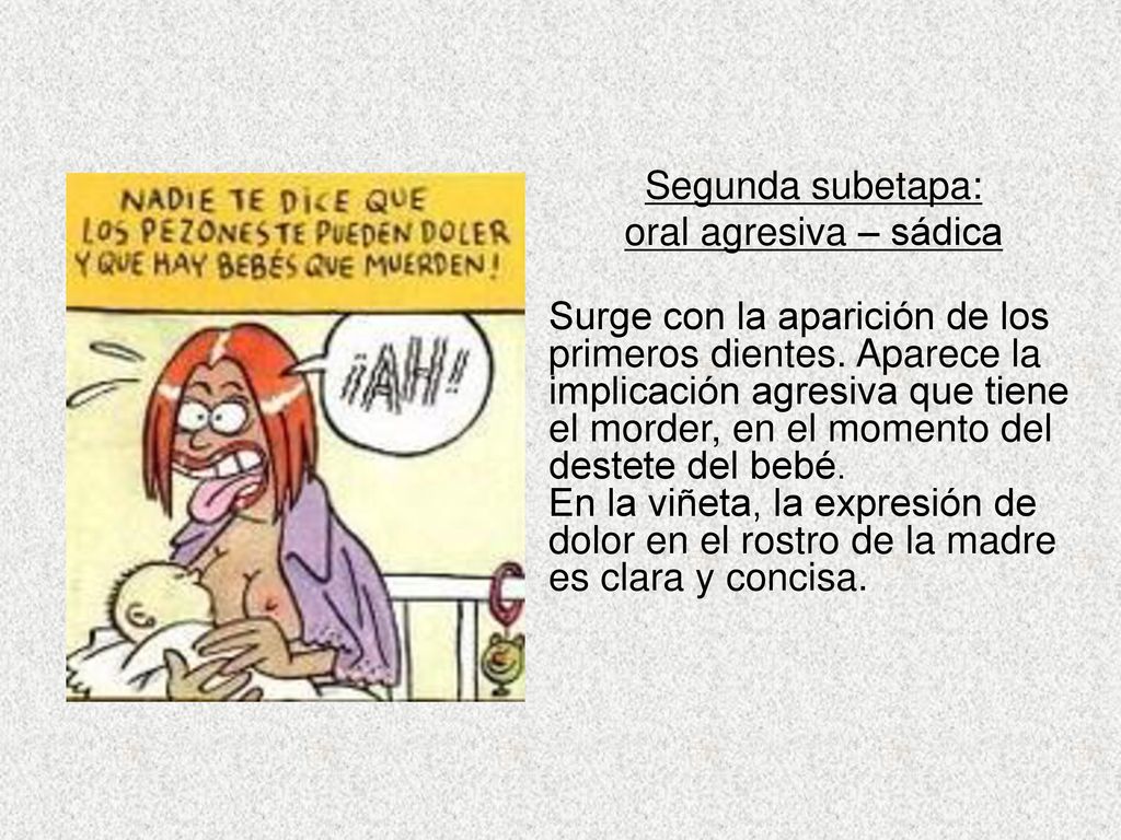 Segunda subetapa: oral agresiva – sádica Surge con la aparición de los primeros dientes.