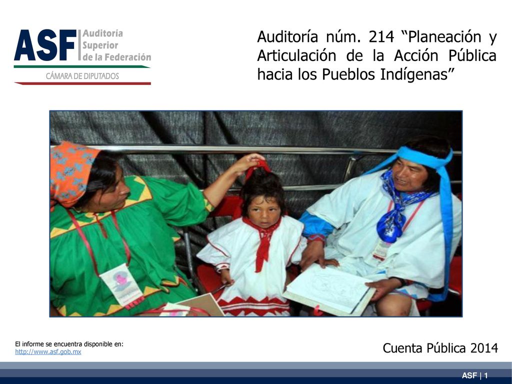 Auditoría núm. 214 Planeación y Articulación de la Acción Pública hacia los Pueblos Indígenas