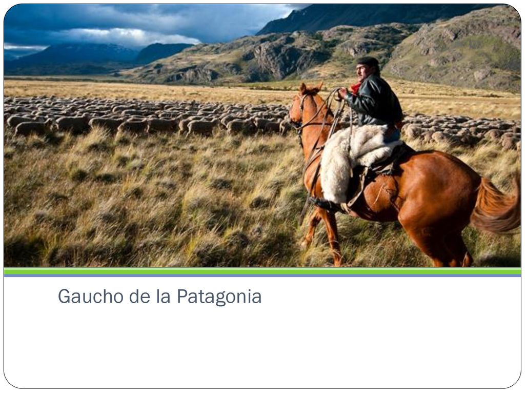Gaucho de la Patagonia