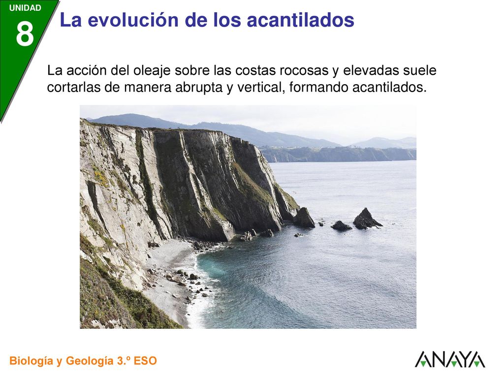 La acción del oleaje sobre las costas rocosas y elevadas suele cortarlas de manera abrupta y vertical, formando acantilados.