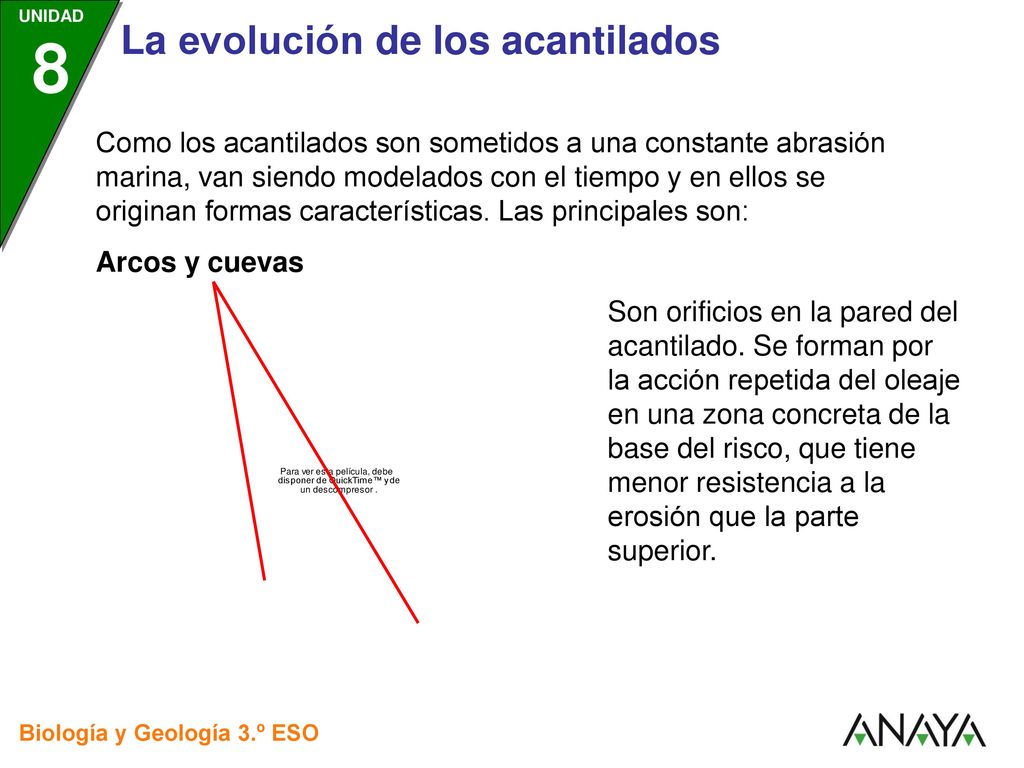 Como los acantilados son sometidos a una constante abrasión marina, van siendo modelados con el tiempo y en ellos se originan formas características. Las principales son: