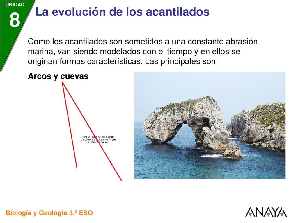 Como los acantilados son sometidos a una constante abrasión marina, van siendo modelados con el tiempo y en ellos se originan formas características. Las principales son:
