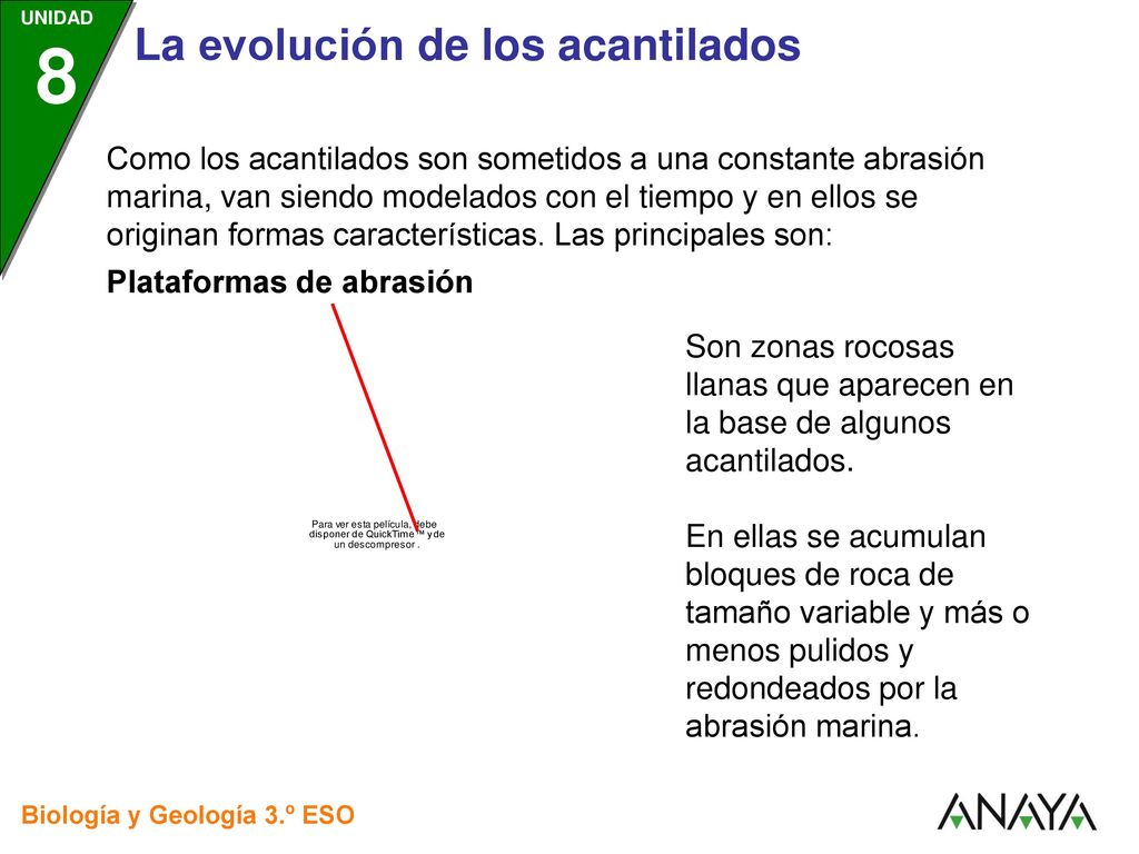 Como los acantilados son sometidos a una constante abrasión marina, van siendo modelados con el tiempo y en ellos se originan formas características. Las principales son: