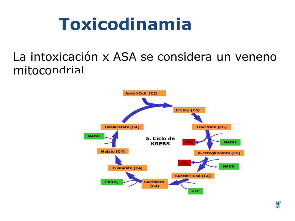 Toxicodinamia La intoxicación x ASA se considera un veneno mitocondrial