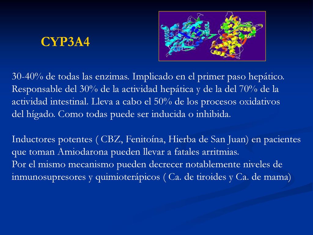 CYP3A % de todas las enzimas. Implicado en el primer paso hepático. Responsable del 30% de la actividad hepática y de la del 70% de la.