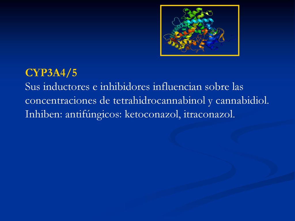 CYP3A4/5 Sus inductores e inhibidores influencian sobre las concentraciones de tetrahidrocannabinol y cannabidiol.