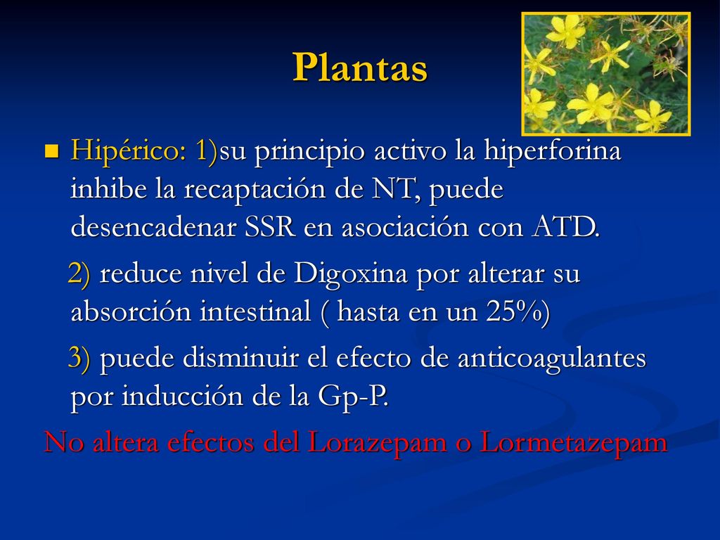 Plantas Hipérico: 1)su principio activo la hiperforina inhibe la recaptación de NT, puede desencadenar SSR en asociación con ATD.