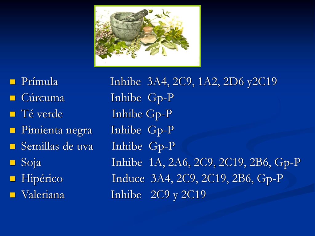 Prímula Inhibe 3A4, 2C9, 1A2, 2D6 y2C19 Cúrcuma Inhibe Gp-P. Té verde Inhibe Gp-P.