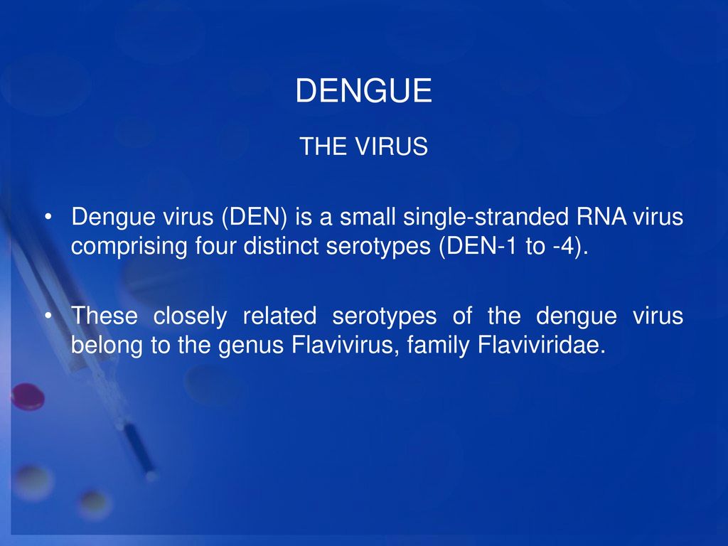 DENGUE THE VIRUS. Dengue virus (DEN) is a small single-stranded RNA virus comprising four distinct serotypes (DEN-1 to -4).