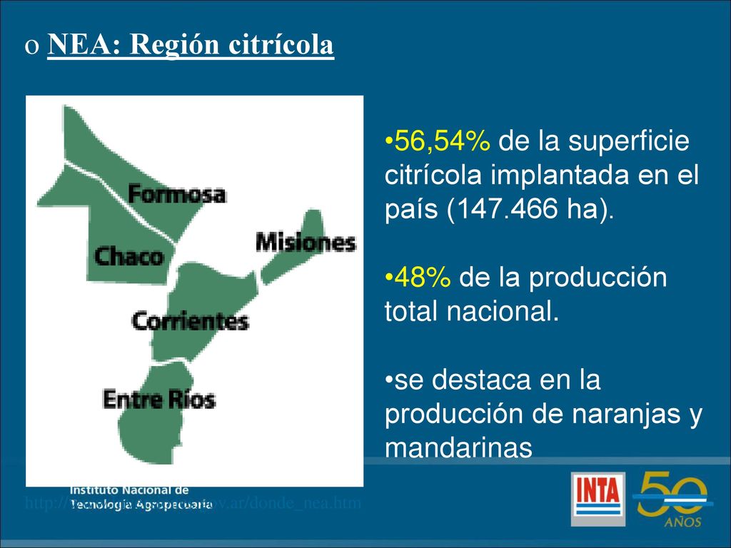 NEA: Región citrícola 56,54% de la superficie citrícola implantada en el país ( ha). 48% de la producción total nacional.