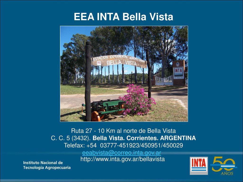 EEA INTA Bella Vista Ruta Km al norte de Bella Vista