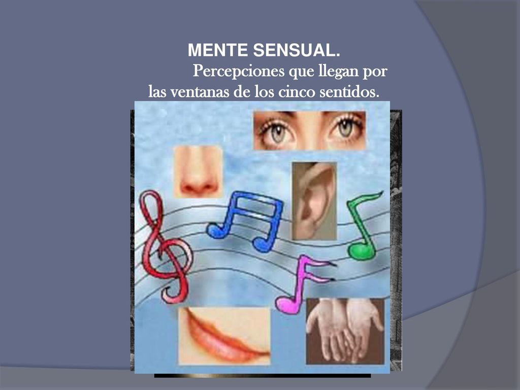 Percepciones que llegan por las ventanas de los cinco sentidos.