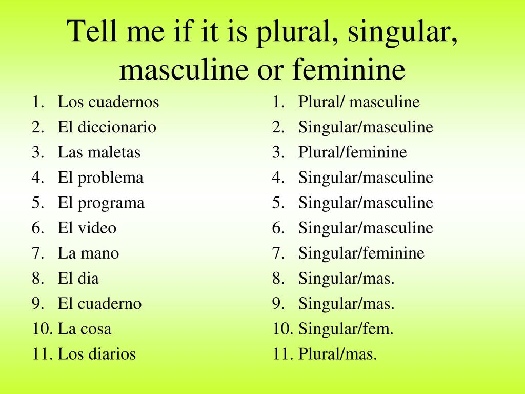 Tell me if it is plural, singular, masculine or feminine