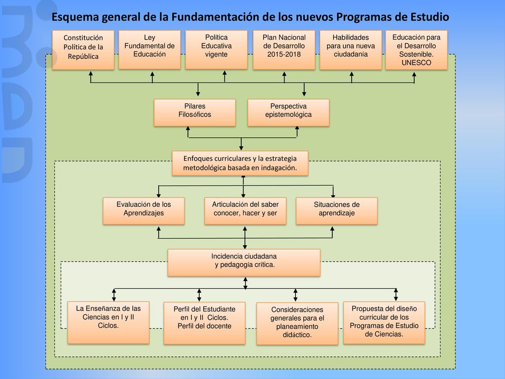 Esquema general de la Fundamentación de los nuevos Programas de Estudio