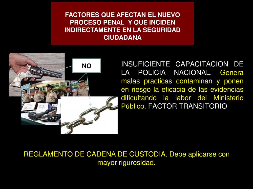 FACTORES QUE AFECTAN EL NUEVO PROCESO PENAL Y QUE INCIDEN INDIRECTAMENTE EN LA SEGURIDAD CIUDADANA