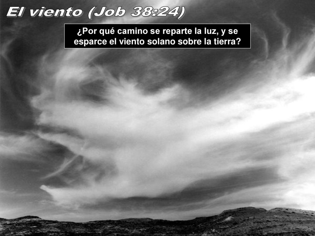 El viento (Job 38:24) ¿Por qué camino se reparte la luz, y se esparce el viento solano sobre la tierra