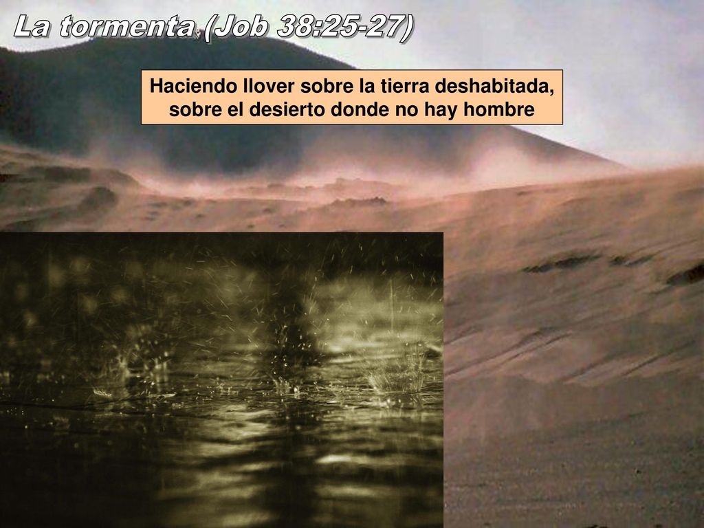 La tormenta (Job 38:25-27) Haciendo llover sobre la tierra deshabitada, sobre el desierto donde no hay hombre.