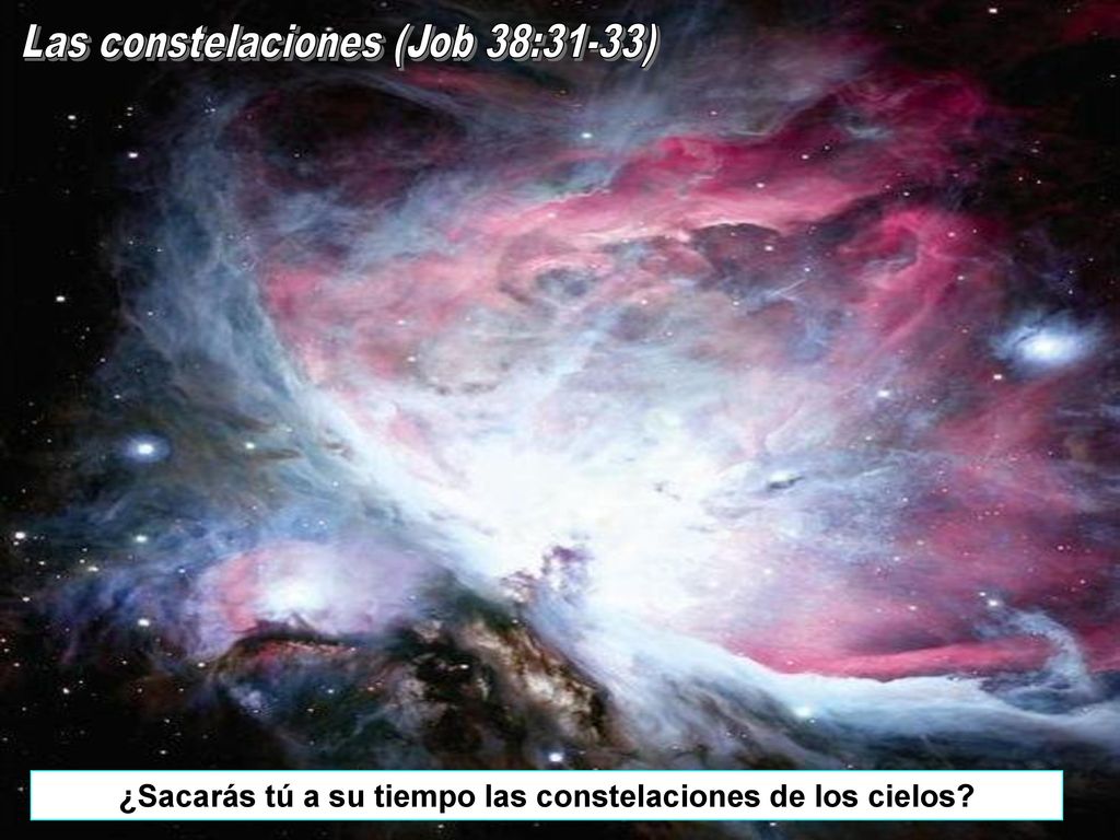 ¿Sacarás tú a su tiempo las constelaciones de los cielos