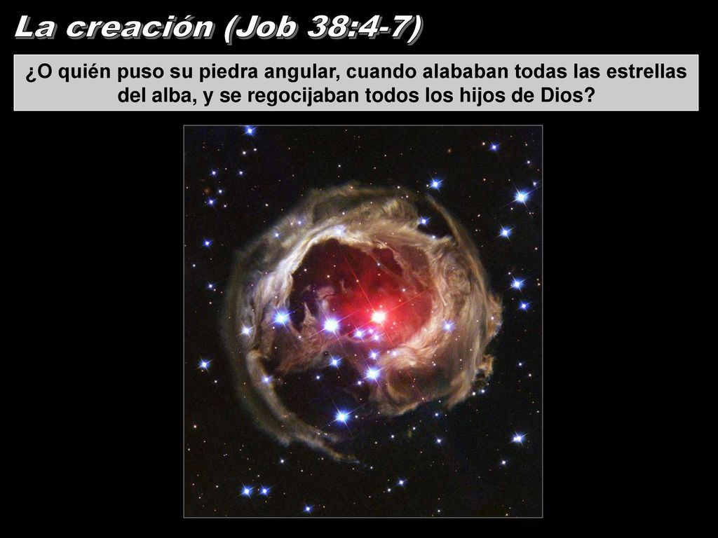 La creación (Job 38:4-7) ¿O quién puso su piedra angular, cuando alababan todas las estrellas del alba, y se regocijaban todos los hijos de Dios