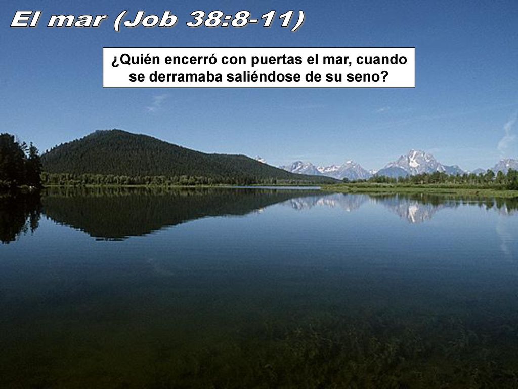 El mar (Job 38:8-11) ¿Quién encerró con puertas el mar, cuando se derramaba saliéndose de su seno