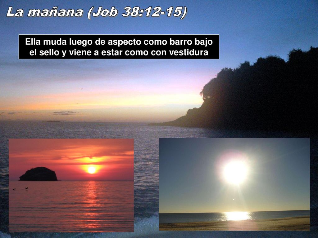 La mañana (Job 38:12-15) Ella muda luego de aspecto como barro bajo el sello y viene a estar como con vestidura.