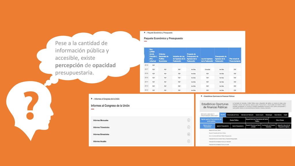 Pese a la cantidad de información pública y accesible, existe percepción de opacidad presupuestaria.