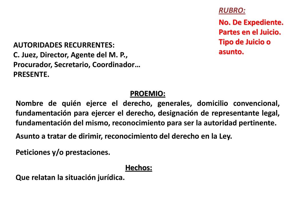 RUBRO: No. De Expediente. Partes en el Juicio. Tipo de Juicio o asunto. AUTORIDADES RECURRENTES:
